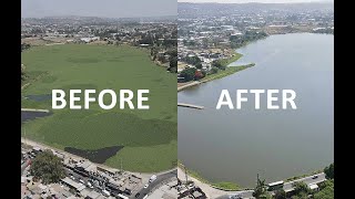 Water Hyacinth vs. Watermaster 🌱|  BEFORE – AFTER