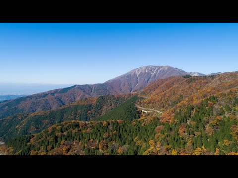 【秋の伊吹山】伊吹山ドライブウェイ、紅葉ドライブ、絶景スポット、琵琶湖　2020年伊吹山紅葉状況(2020.11.14)