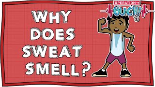 Why Does Sweat Smell So Bad?| Operation Ouch | Nugget