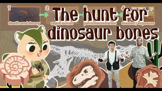 Evolution | What do you know about DINOSAUR FOSSILS ?? | Earth Science For Kids