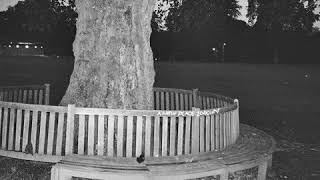 Archy Marshall - Ammi Ammi