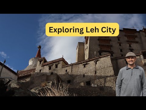 Ep4 | Ladakh Trip | Leh City Sightseeing | TheLightBaggage