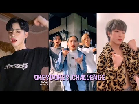 Okey Dokey Challenge Tiktok