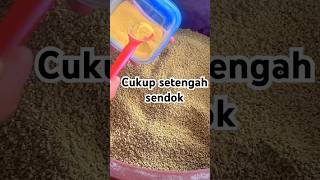 Download lagu Chickens grow quickly #howtosuccessfullyraisevillagechickens #howtoraisevillagechickens mp3 Download lagu Chickens grow quickly #howtosuccessfullyraisevillagechickens #howtoraisevillagechickens mp3