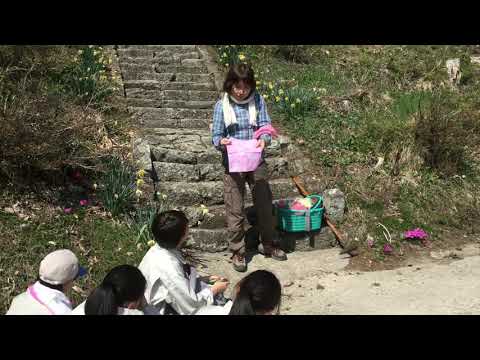 学科ニュース021 地域交流実習（ベニバナの解説）