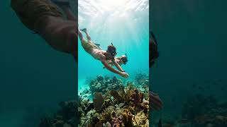 Is Carnival Cruise Lines The slum or is it an unbelievable value for your vacation dollars?