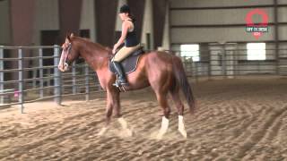 Off the Desk - Lone Wolf Ranch