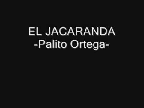 EL JACARANDA