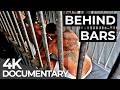 Behind Bars: Geraldo Beltrão Prison, Brazil | World’s Toughest Prisons | Free Documentary