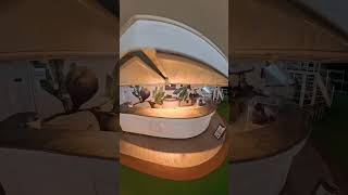 Carnival Adventure Sunset Bar Deck 16 #carnival #carnivaladventure #carnivalaustralia #sunsetbar