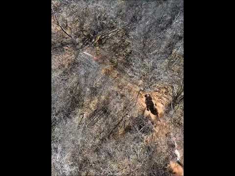 Essa carreira foi em Mirandiba/PE #pegadeboinomato #vaqueiro #cavalo #drone
