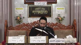 הרב ישראל שרת | מהלכות קריאת מגילת אסתר | מוסאיוף