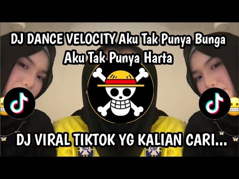 DJ I DON'T HAVE FLOWERS I DON'T HAVE PROPERTY || EXTRAORDINARY LOVE VELOCITY DANCE VIRAL TIKTOK 2025