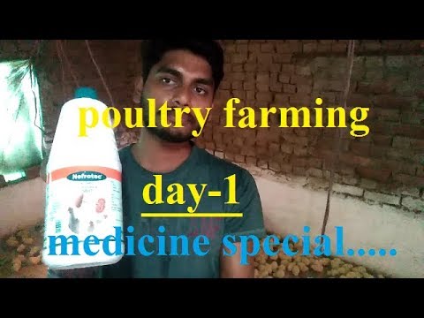 Poultry Farming Medicines