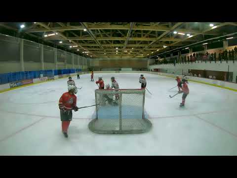 U14-1 HC VIPERS 10 - U14-1 HC PANTER MUST