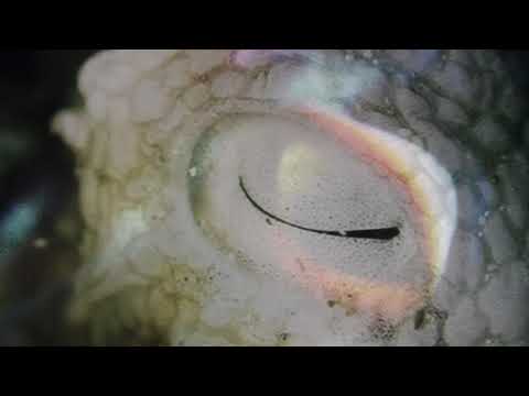 Samuel Rohrer - New Studio Work - album out in spring 2022