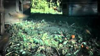 unleash hornet hell!!!