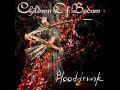 Children Of Bodom - Roadkill Morning