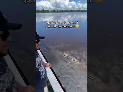 Rio Negro, Amazonas.