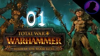 Let&#39;s Play Total War WARHAMMER - Realm Of The Wood Elves - Ep. 1 - Treemen Unite!
