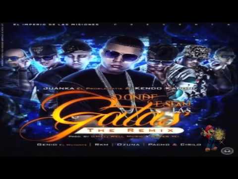 Donde Estan Las Gatas (Official Remix) Juanka El Problematik Ft. Kendo Kaponi , RKM ETC..