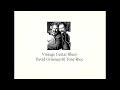 Vintage Guitar Blues - David Grisman & Tony Rice
