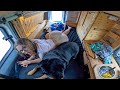 Micro Vanlife Camping With BIG DOG Morning Routine