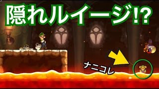 【スーパーマリオUDX】Part21 こんなところに隠れルイージ？「New スーパーマリオブラザーズ U デラックス」実況プレイ