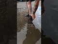 A pretty satisfying unclogging of a street drain!