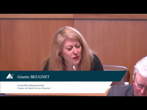 En direct de l'assemblée départementale - Séance du 18/03/19 M1