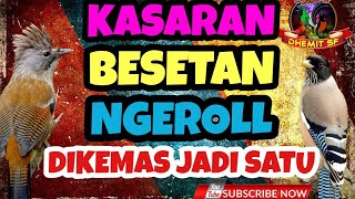 Download lagu MASTERAN - Kasaran, Besetan, Ngeroll ❗️Semua Dikemas Jadi Satu Disini mp3