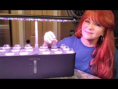 How to Set Up This MUFGA 18 Pod Hydroponic Garden Growing System