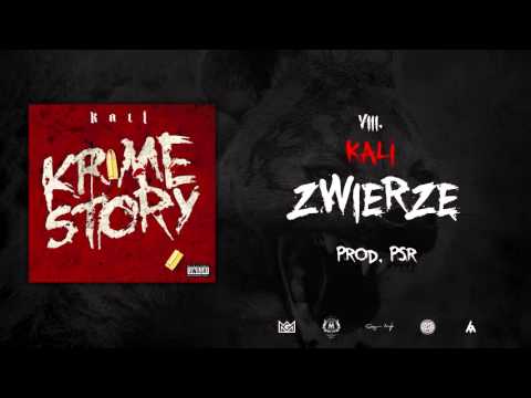 Makapakasuszykamienieafafem’s Video 138169011840 AWTywHTjXj0