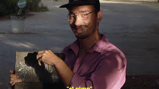 Grand Sun - Go Home (Official Video)