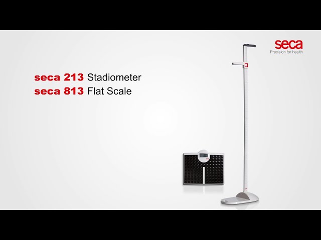 Seca 213 stadiomètre démontable et portable avec niveau intégré - 20 jusqu'à 205 cm - 1 pc