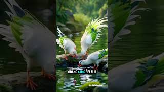 Download lagu Hiduplah di level anda sendiri, jangan gidup dilevel orang lain. #levelhidup #nasehat #tahudiri mp3