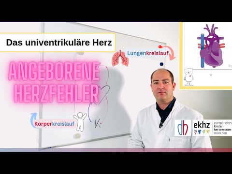 Was tun bei einem Herzfehler? Das univentrikuläre Herz - Behandlung im Deutsches Herzzentrum München