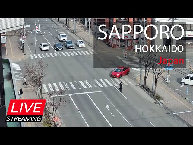 【LIVE】道路状況・札幌市中央区南1条通り/東4丁目通り交差点 【LIVE】道路状況・札幌市中央区南1条通り/東4丁目通り交差点
