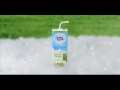 Frisian Flag Coconut Delight Turis Korea Tanjidor