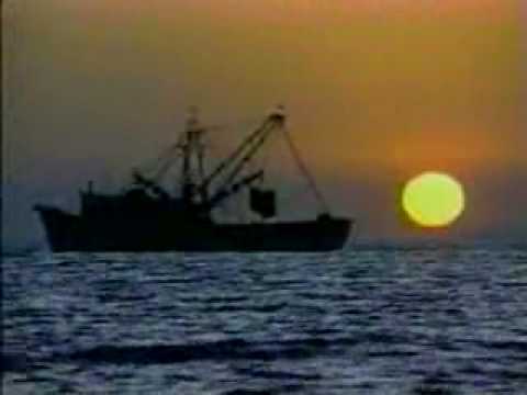 Canción de introducción "Bienvenido" OTI 98