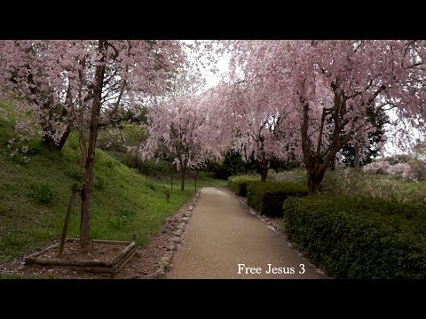 Japan - Trip with friends 2018 (3of3) (Sonya6000+Sigma16mm)