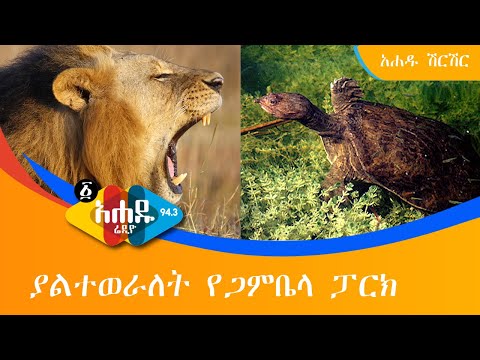 Ethiopia: ያልተወራለት የጋምቤላ ፓርክ - አሐዱ ሽርሽር Ahadu Radio 94.3