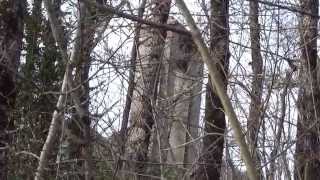 Guillotine with 13 Osiris Stones near Roquefixade Castle in the Middle of French Forest