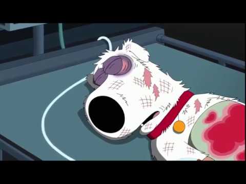Brian's death, the full story (Family Guy)