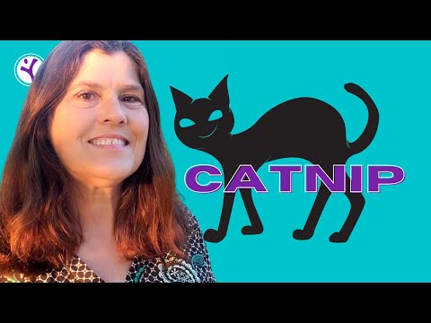 Remarkable Health Benefits of CATNIP for People