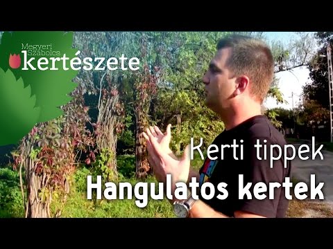 Kerti hangulat - Hangulatos kertek - Kerti tippek