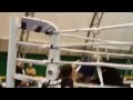 MMA - Volkov Vadim Vs Lo Guasto 