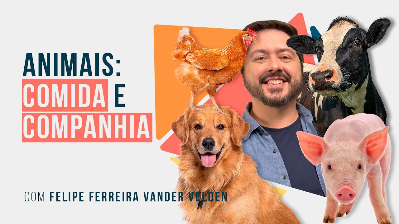 Animais são comida e companhia - Podcast Não Ficção