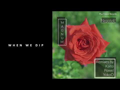Premiere: Nepotek - Magnum (YokoO's Defragmentation) [Plus Future Records]