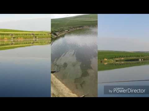 Primul Video! Pescuit la Iacobeni! Crap Oglinda 2 kg